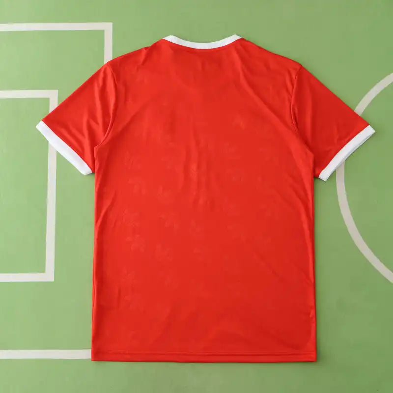 Fu?ball-Club Bayern M¨¹nchen Concept Fan Version 24/25 Season Jersey